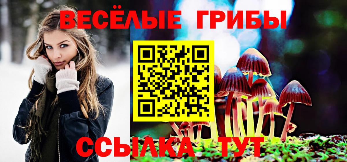Псилоцибиновые грибы Magic Shrooms Ижевск