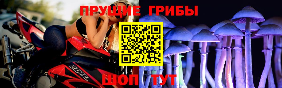 Ижевск  Галлюциногенные грибы ЛСД  Вход с VPN 